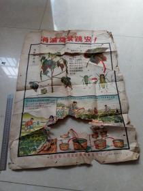 消灭棉叶跳虫（江西1951年宣传画）