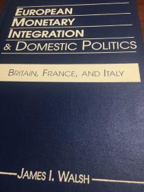 英文原版：European monetary integration & Domestic politics