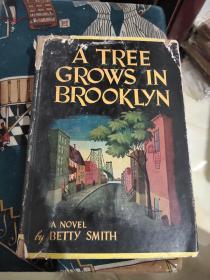 A Tree Grows in Brooklyn 毛边书