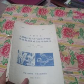 东濮凹陷文留地区盐下含气层系（沙四段）砂体微相及成岩作用的研究