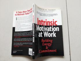 Intrinsic Motivation at Work: Building Energy & Commitment