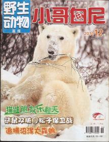 野生动物画报.小哥白尼2010年10月下、12月下.2册合售