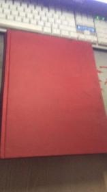 英文原版 White a novel