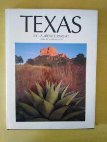 TEXAS BY LAURENCE PARENT ESSAY BY ELMER KELTON