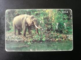 中国电信IC磁卡 CNT-IC-40（4-1）珍惜动物-亚洲象 包邮局挂号邮寄
