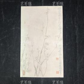 民国 荣宝斋精制 吴徵画“梅花”花笺纸 一张 HXTX313271