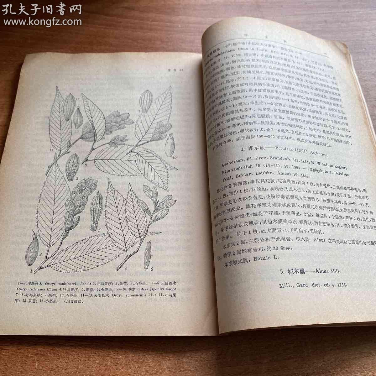 《中国植物志》第二十一卷，中国科学院中国植物志编辑委员会　编