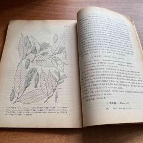 《中国植物志》第二十一卷，中国科学院中国植物志编辑委员会　编