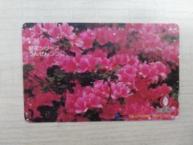 【日本电话磁卡】★长崎县县花---杜鹃花★（植物图案）