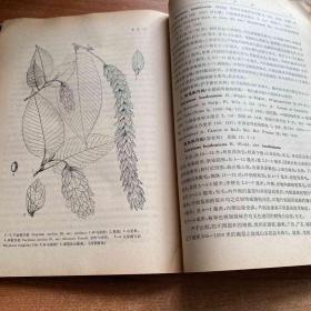《中国植物志》第二十一卷，中国科学院中国植物志编辑委员会　编