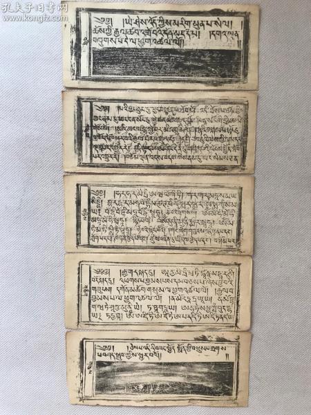 清末  木刻版藏文佛教文献，5页双面