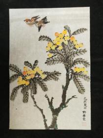 许善宜、纯手绘、有款无印章、花鸟画软件、枇杷麻雀、画心尺寸：70*47厘米