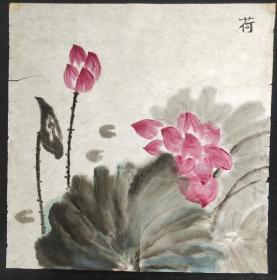 无章款花鸟画尺寸45*33厘米 12-32