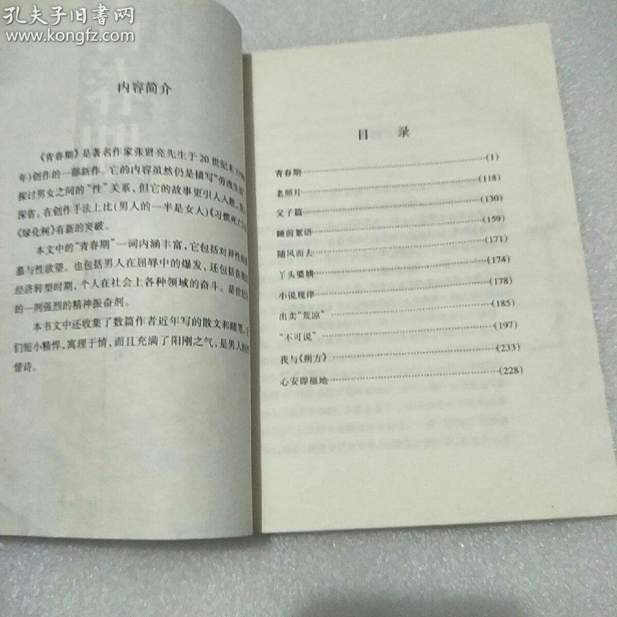 青春期（著名作家张贤亮20世纪末新作）