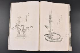 （丙3731）《国の华》1册 松风古流生花 书中大量插图 日本插花 花道 华道 生花 作品实例 配有详细解说 它是‘活植物花材’ 造型的艺术 通过插花感受自然、生命的变化，在创作美丽的作品和欣赏的同时提高自己的审美。