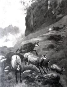 珂罗版版画《山谷中奔跑的羚羊》（Antelope running in the valley）  -- 后附纸尺寸32*25厘米，版画纸张尺寸23*18厘米