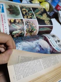 1981年，自然杂志1-12期合订