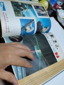 1981年，自然杂志1-12期合订