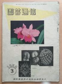 日文版期刊《园艺通信·特刊/洋兰》1959年第3期