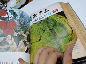 1981年，自然杂志1-12期合订