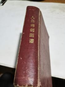 1973年，人体解剖图谱