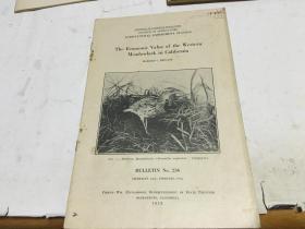 英文原版 the economic value of the western meadowlark in california加州西美草地鹨的经济价值 1913年盖南京大学钢印戳 内柜3  2层