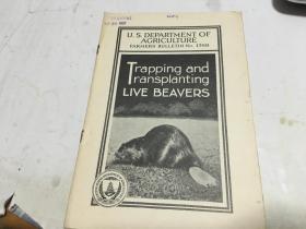 英文原版trapping and transplanting live beavers捕捉和移植活海狸 1937 盖南京大学钢印戳   内柜3  2层