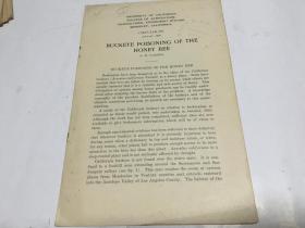 英文原版buckeye poisoning of the honey bee 蜜蜂七叶树毒1926 盖南京大学钢印戳  内柜3  2 层