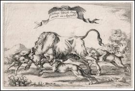 【大师铜版画】1650年蚀刻铜版画《受到攻击的公牛》，23.3×15.6cm