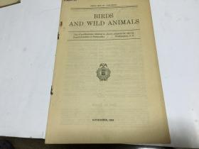 英文原版birds and wild animals鸟类和野生动物 1924盖南京大学钢印戳  内柜3  2层