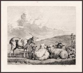 1880年蚀刻版画《羊群》，35×24.2cm