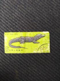 1983年T85扬子鳄邮票一张。