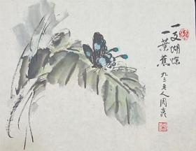 保真销售【周昆】1904年出生，1929年毕业于上海美术专科学校国画系，曾师从刘海粟、黄宾虹、潘天寿等美术大师199年花鸟画软件（一支蝴蝶一叶蕉），画心尺寸：45*35厘米【约1.4平尺】