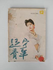 辽宁青年 1991 12【封二 歌曲点唱《鲁冰花》，封三：青年摄影沙龙，封底：惠斯勒油画《金色的屏风》。毁灭，收藏别忘搞漫画，也谈“逼良为娼”，张学良将军的父陵——元帅陵等。内文多是名家插图】