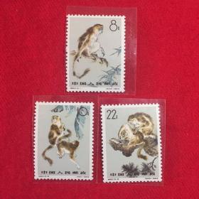 特60 金丝猴（有齿）邮票 一套三枚 自藏好品 邮票3幅画面均采用我国著名画家刘继卣创作的原画进行设计