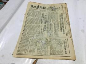 1955年4月 粤北农民报  看描述  里柜3 1顶