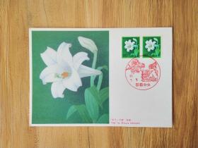 外国早期珍稀邮品终身保真【日本1982年植物花卉极限片】珍品2101-01