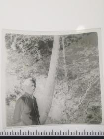 七八十年代老底片：人物树前照  a