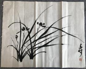 齐派后人刘东坡国画小品——兰草（60*53cm）