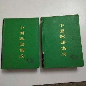 《中国歌谣集成》广西卷上下全二册