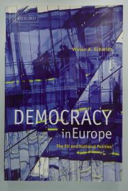 【包邮】《欧洲的民主主义——欧盟和国家政治（Democracy in Europe: The EU and National Polities
）》平装 欧洲联盟 多图标 2006年