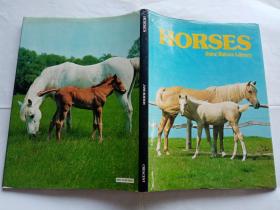 HORSES（马）  【1978年摄影画册,64页】