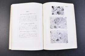 （丁4015）续方知三郎原著《病理组织学を学ぶ人々に》精装本文、图版2册全 心脏 神经系 内分泌脏器 造血脏器 腫瘍等内容 绪方洪庵之孙续方知三郎 绪方洪庵，江户时代后期的日本武士，医师，兰学者。因其对治疗天花的贡献，被称为“日本近代医学之父”。金原出版株式会社 1955年