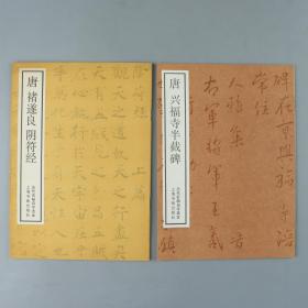 【同一来源】70~80年代 上海书画社出版《唐张旭草书古诗四帖》《唐王居士砖塔铭》《智永真书千字文》《唐兴福寺半截碑》《唐褚遂良阴符经》《王铎草书诗卷》、另有《爨宝子碑》《潘伯鹰楷书豫园记》  共计十册 HXTX329902