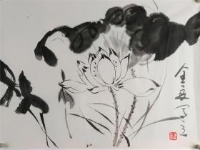 重名画家多，金良国画，荷，44*33，有裂